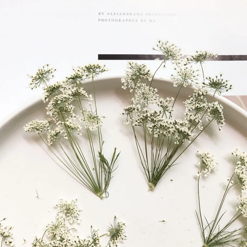 5-7Cm/12 Chiếc, Tuyết Hoa Nhỏ  - đánh giá và giá Craft Embellishments